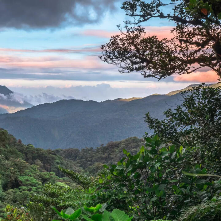 Costa Rica